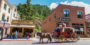 horse drawn carriage